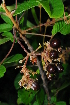  ( - RBN261)  @11 [ ] Unspecified (default): All Rights Reserved  Unspecified Unspecified