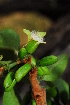  ( - OM0299)  @11 [ ] Unspecified (default): All Rights Reserved  Unspecified Unspecified