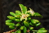  ( - OM0299)  @11 [ ] Unspecified (default): All Rights Reserved  Unspecified Unspecified