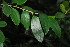  ( - OM1383)  @11 [ ] Unspecified (default): All Rights Reserved  Unspecified Unspecified
