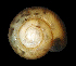  ( - UF444760A)  @13 [ ] CreativeCommons - Attribution Non-Commercial Share-Alike (2011) Unspecified Florida Museum of Natural History