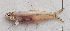  ( - M135_007)  @11 [ ] CreativeCommons - Attribution Non-Commercial Share-Alike (2018) Pierre Valade OCEA Consult', La Réunion