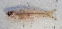  ( - M137_003)  @11 [ ] CreativeCommons - Attribution Non-Commercial Share-Alike (2018) Pierre Valade OCEA Consult', La Réunion