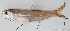  ( - M147_005)  @11 [ ] CreativeCommons - Attribution Non-Commercial Share-Alike (2018) Pierre Valade OCEA Consult', La Réunion