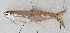  ( - M147_006)  @11 [ ] CreativeCommons - Attribution Non-Commercial Share-Alike (2018) Pierre Valade OCEA Consult', La Réunion