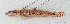  ( - M153_005)  @11 [ ] CreativeCommons - Attribution Non-Commercial Share-Alike (2018) Pierre Valade OCEA Consult', La Réunion