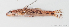  ( - M153_006)  @11 [ ] CreativeCommons - Attribution Non-Commercial Share-Alike (2018) Pierre Valade OCEA Consult', La Réunion