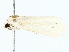  ( - BIOUG80128-B05)  @11 [ ] CreativeCommons - Attribution (2022) CBG Photography Group Centre for Biodiversity Genomics