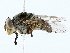  ( - BIOUG80128-F09)  @11 [ ] CreativeCommons - Attribution (2022) CBG Photography Group Centre for Biodiversity Genomics