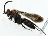  ( - BIOUG80129-D03)  @11 [ ] CreativeCommons - Attribution (2022) CBG Photography Group Centre for Biodiversity Genomics