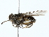  ( - BIOUG80130-E10)  @11 [ ] CreativeCommons - Attribution (2022) CBG Photography Group Centre for Biodiversity Genomics