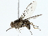 ( - BIOUG80130-F04)  @11 [ ] CreativeCommons - Attribution (2022) CBG Photography Group Centre for Biodiversity Genomics