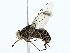  ( - BIOUG80130-G06)  @11 [ ] CreativeCommons - Attribution (2022) CBG Photography Group Centre for Biodiversity Genomics