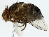  ( - BIOUG85471-C05)  @11 [ ] CreativeCommons - Attribution (2022) CBG Photography Group Centre for Biodiversity Genomics