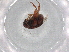  ( - BIOUG85472-F06)  @11 [ ] CreativeCommons - Attribution (2022) Centre for Biodiversity Genomics Centre for Biodiversity Genomics