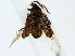  ( - BIOUG85473-A11)  @11 [ ] CreativeCommons - Attribution (2022) CBG Photography Group Centre for Biodiversity Genomics