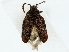  ( - BIOUG85473-B05)  @11 [ ] CreativeCommons - Attribution (2022) CBG Photography Group Centre for Biodiversity Genomics