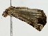  ( - BIOUG85474-G02)  @11 [ ] CreativeCommons - Attribution (2022) CBG Photography Group Centre for Biodiversity Genomics