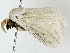  ( - BIOUG91292-D12)  @11 [ ] CreativeCommons - Attribution (2022) CBG Photography Group Centre for Biodiversity Genomics