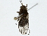 ( - BIOUG91294-F06)  @11 [ ] CreativeCommons - Attribution (2022) CBG Photography Group Centre for Biodiversity Genomics