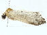  ( - BIOUG95350-F11)  @11 [ ] CreativeCommons - Attribution (2022) CBG Photography Group Centre for Biodiversity Genomics