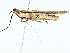 ( - BIOUG95351-D05)  @11 [ ] CreativeCommons - Attribution (2022) CBG Photography Group Centre for Biodiversity Genomics