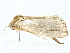  ( - BIOUG95352-E10)  @11 [ ] CreativeCommons - Attribution (2022) CBG Photography Group Centre for Biodiversity Genomics