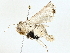  ( - BIOUG89980-D05)  @11 [ ] CreativeCommons - Attribution (2022) CBG Photography Group Centre for Biodiversity Genomics