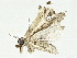  ( - BIOUG89980-F01)  @11 [ ] CreativeCommons - Attribution (2022) CBG Photography Group Centre for Biodiversity Genomics