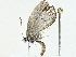  ( - BIOUG89980-F02)  @11 [ ] CreativeCommons - Attribution (2022) CBG Photography Group Centre for Biodiversity Genomics