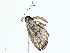  ( - BIOUG97770-H04)  @11 [ ] CreativeCommons - Attribution (2023) CBG Photography Group Centre for Biodiversity Genomics