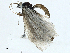  ( - BIOUG97772-E02)  @11 [ ] CreativeCommons - Attribution (2023) CBG Photography Group Centre for Biodiversity Genomics