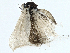  ( - BIOUG97772-E04)  @11 [ ] CreativeCommons - Attribution (2023) CBG Photography Group Centre for Biodiversity Genomics