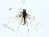  ( - BIOUG97772-E07)  @11 [ ] CreativeCommons - Attribution (2023) CBG Photography Group Centre for Biodiversity Genomics