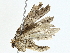  ( - BIOUG97746-E03)  @11 [ ] CreativeCommons - Attribution (2023) CBG Photography Group Centre for Biodiversity Genomics