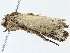  ( - BIOUG97747-E12)  @11 [ ] CreativeCommons - Attribution (2023) CBG Photography Group Centre for Biodiversity Genomics