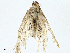  ( - BIOUG97747-F07)  @11 [ ] CreativeCommons - Attribution (2023) CBG Photography Group Centre for Biodiversity Genomics
