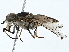  ( - BIOUG97750-A10)  @11 [ ] CreativeCommons - Attribution (2023) CBG Photography Group Centre for Biodiversity Genomics