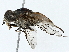  ( - BIOUG97750-A12)  @11 [ ] CreativeCommons - Attribution (2023) CBG Photography Group Centre for Biodiversity Genomics