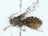  ( - BIOUG97751-E08)  @11 [ ] CreativeCommons - Attribution (2023) CBG Photography Group Centre for Biodiversity Genomics