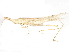  ( - BIOUG97751-G05)  @11 [ ] CreativeCommons - Attribution Non-Commercial Share-Alike (2023) CBG Photography Group Centre for Biodiversity Genomics