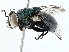  ( - BIOUG97728-A03)  @11 [ ] CreativeCommons - Attribution (2023) CBG Photography Group Centre for Biodiversity Genomics