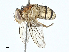  ( - BIOUG97728-C05)  @11 [ ] CreativeCommons - Attribution (2023) CBG Photography Group Centre for Biodiversity Genomics