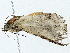  ( - BIOUG98709-A12)  @11 [ ] CreativeCommons - Attribution (2023) CBG Photography Group Centre for Biodiversity Genomics