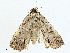  ( - BIOUG98709-B03)  @11 [ ] CreativeCommons - Attribution (2023) CBG Photography Group Centre for Biodiversity Genomics
