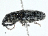  ( - BIOUG98709-H03)  @11 [ ] CreativeCommons - Attribution (2023) CBG Photography Group Centre for Biodiversity Genomics