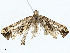  ( - BIOUG98710-B05)  @11 [ ] CreativeCommons - Attribution (2023) CBG Photography Group Centre for Biodiversity Genomics