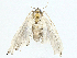  ( - BIOUG98710-D03)  @11 [ ] CreativeCommons - Attribution (2023) CBG Photography Group Centre for Biodiversity Genomics