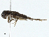  ( - BIOUG97762-G02)  @11 [ ] CreativeCommons - Attribution (2023) CBG Photography Group Centre for Biodiversity Genomics