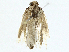  ( - BIOUG97763-C03)  @11 [ ] CreativeCommons - Attribution (2023) CBG Photography Group Centre for Biodiversity Genomics